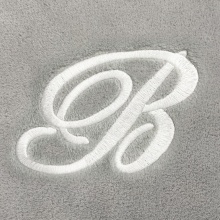 Single Script Initial