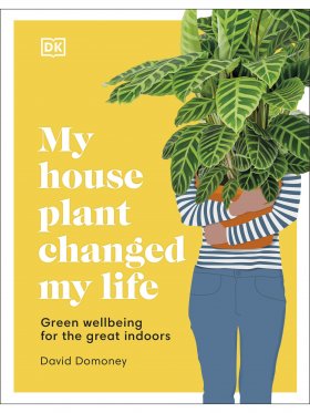 My House Plant Changed My Life