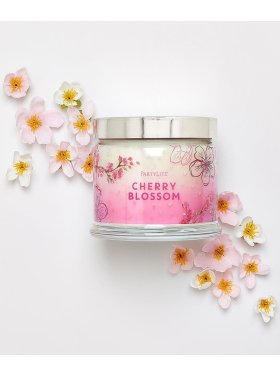 PartyLite 3-Wick Jar Candle - Cherry Blossom 375g