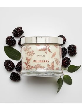 PartyLite 3-Wick Jar Candle - Mulberry 375g